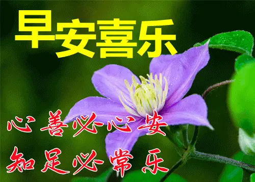月经不调怎么办_3月28日_月经不来是什么原因
