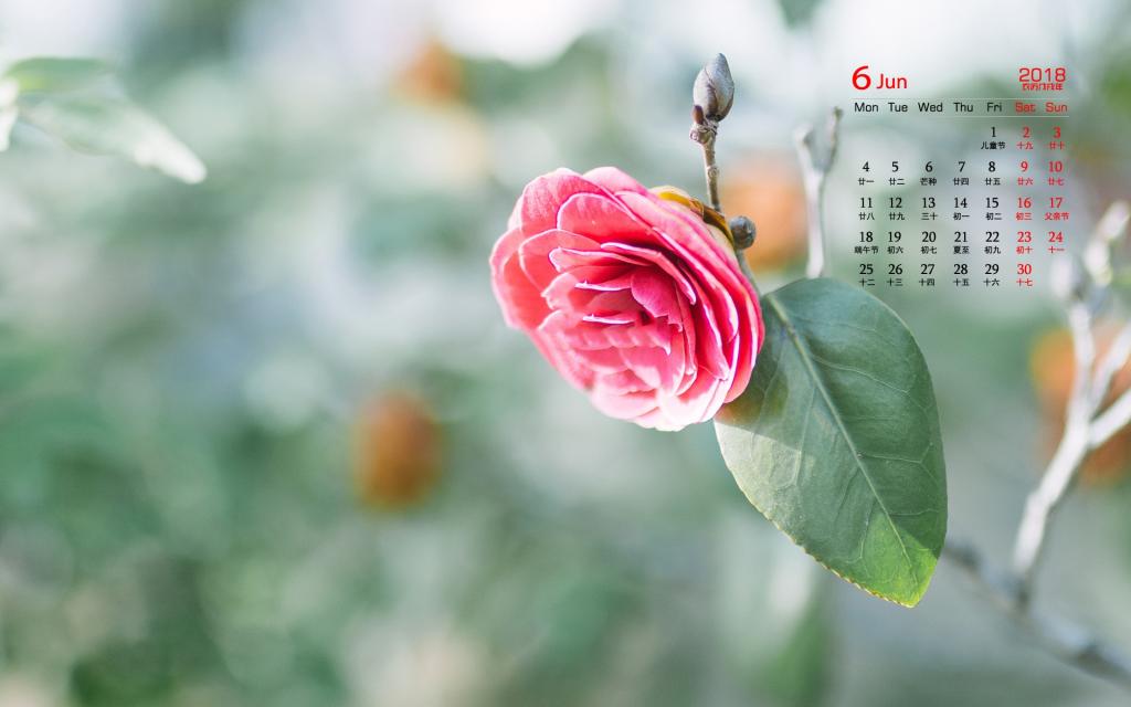 6月壁纸_壁纸月亮_日历壁纸2016年8月