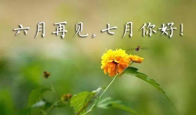 6月12日是什么日子_日子是啥_日和月是