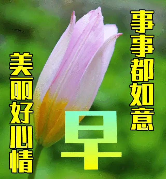 6月12日是什么日子_日子是啥_日和月是