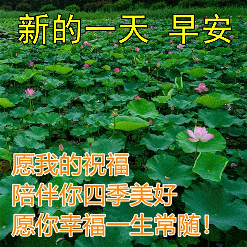 日子是啥_日和月是_6月12日是什么日子