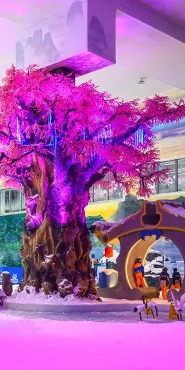 救赎电影简介_救赎电影bd在线播放_肖申克的救赎英文版电影免费观看