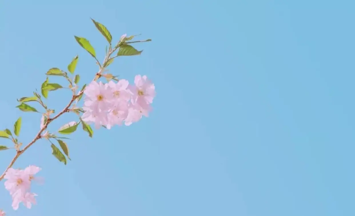 褪黑素手机游戏_褪黑素有用吗知乎_褪黑素玩手机有用吗