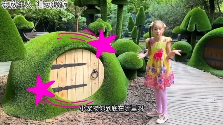 网络游戏 手机游戏_游戏手机网络怎么样_游戏网络手机排行
