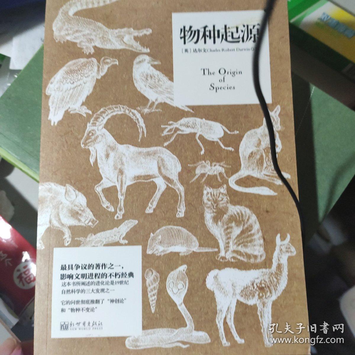 物种起源玩法_物种起源游戏bug_物种起源手机游戏攻略
