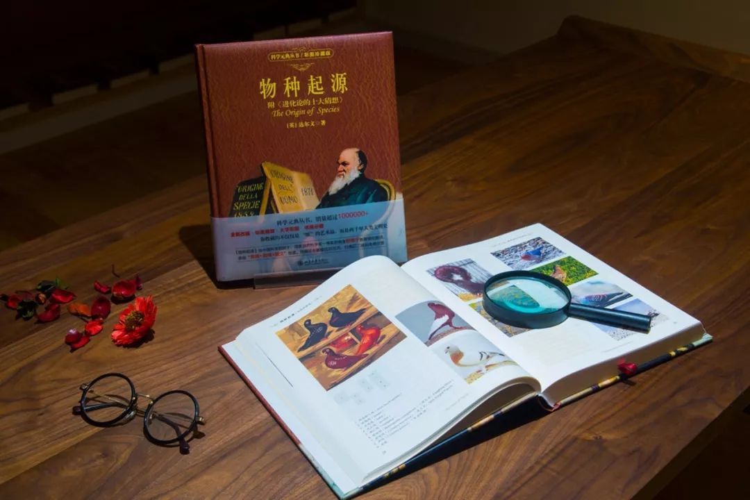 物种起源手机游戏攻略_物种起源玩法_物种起源游戏bug
