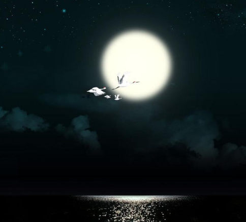 月夜见梅花_月夜见_月夜见渔灯