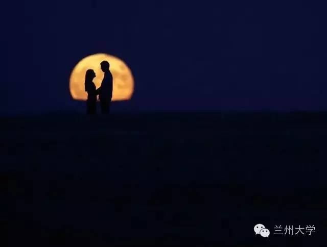 月夜见渔灯_月夜见梅花_月夜见