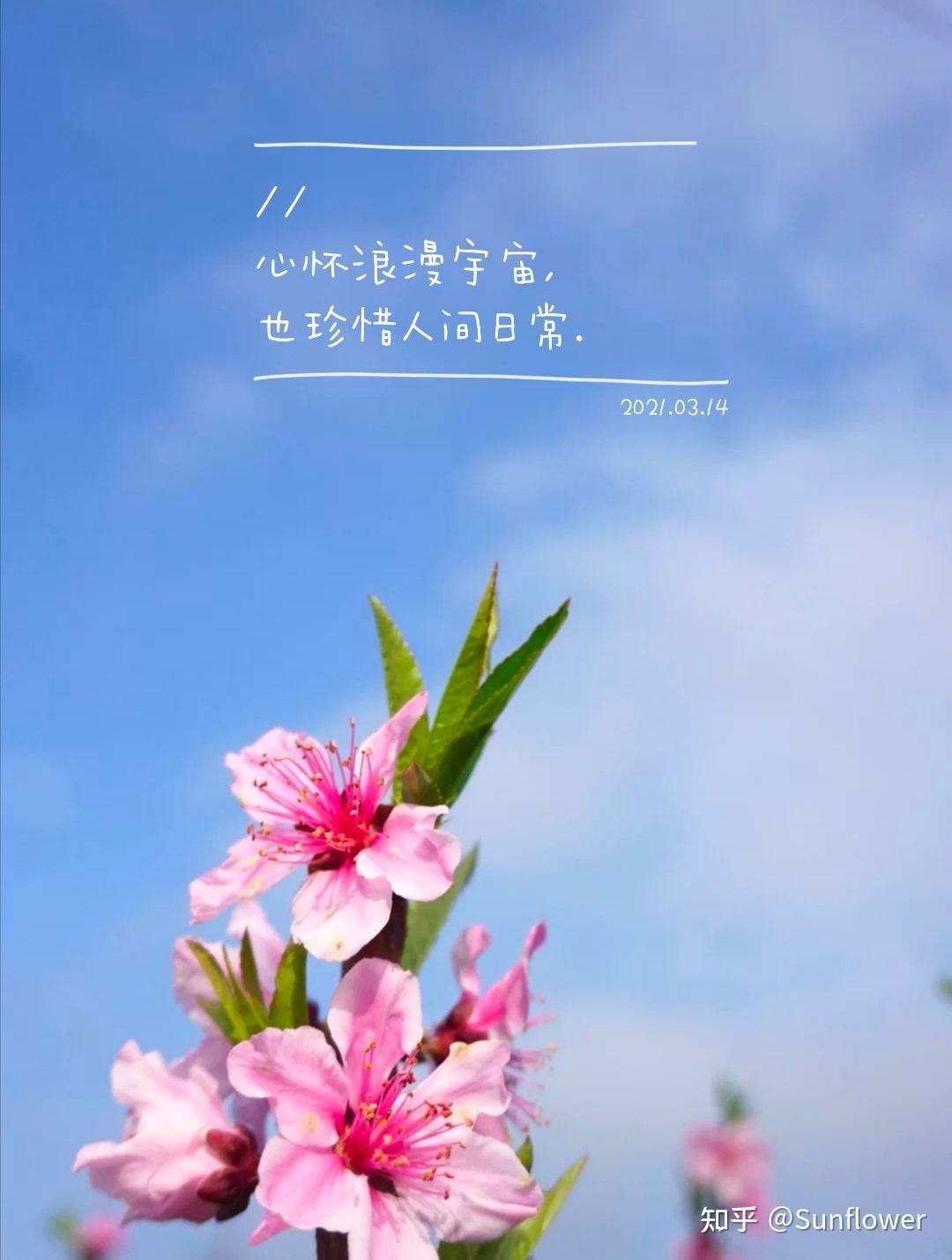 朝比奈实玖瑠阿虚_朝比奈实玖瑠_朝比奈实玖瑠生日