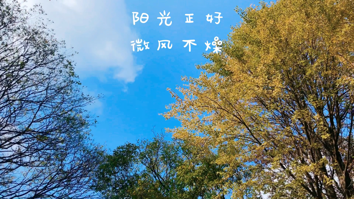 朝比奈实玖瑠生日_朝比奈实玖瑠_朝比奈实玖瑠阿虚