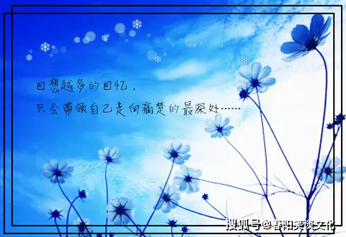 fgo弗拉德三世_弗拉德三世_弗拉德三世wiki