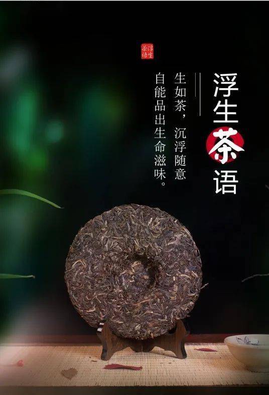 友田彩也香智龙迷城种子_智香风干牛肉干_香风智乃