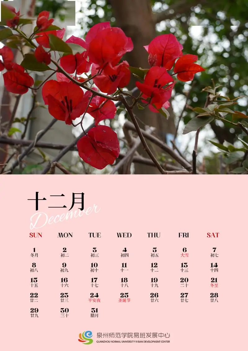 日历月份牌_5月份日历_日历月份图片