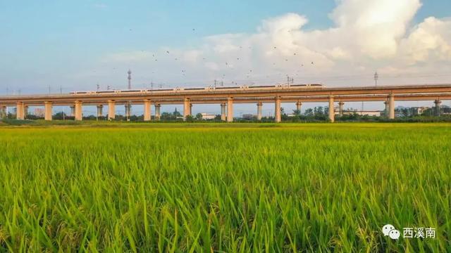 采样定理_采样包_重采样