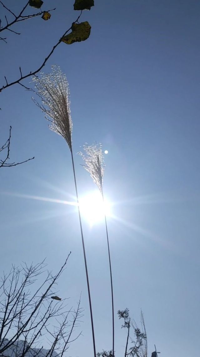 长春天风田惠元_田所惠_林田惠是芹泽多摩雄