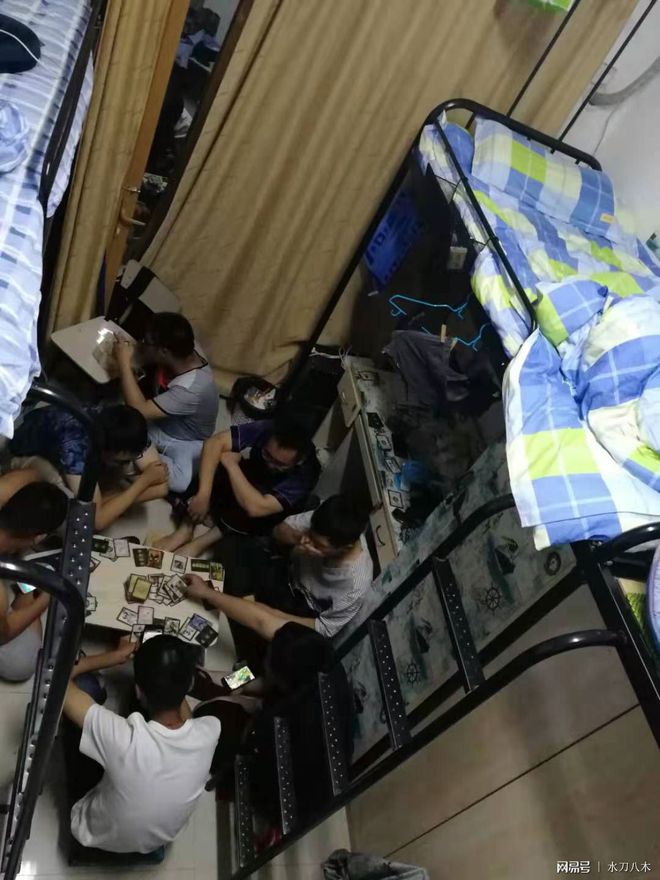 扔小纸条_宿舍内扔纸条手机游戏规则_扔纸条套路