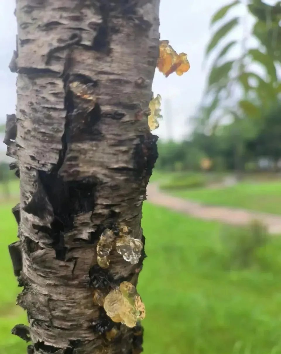 珠海手机游戏公司排名_珠海 手机游戏_珠海手机游戏培训机构