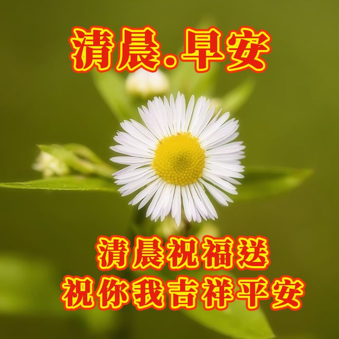 5月21号代表什么意思_月代表的意蕴_月表示什么