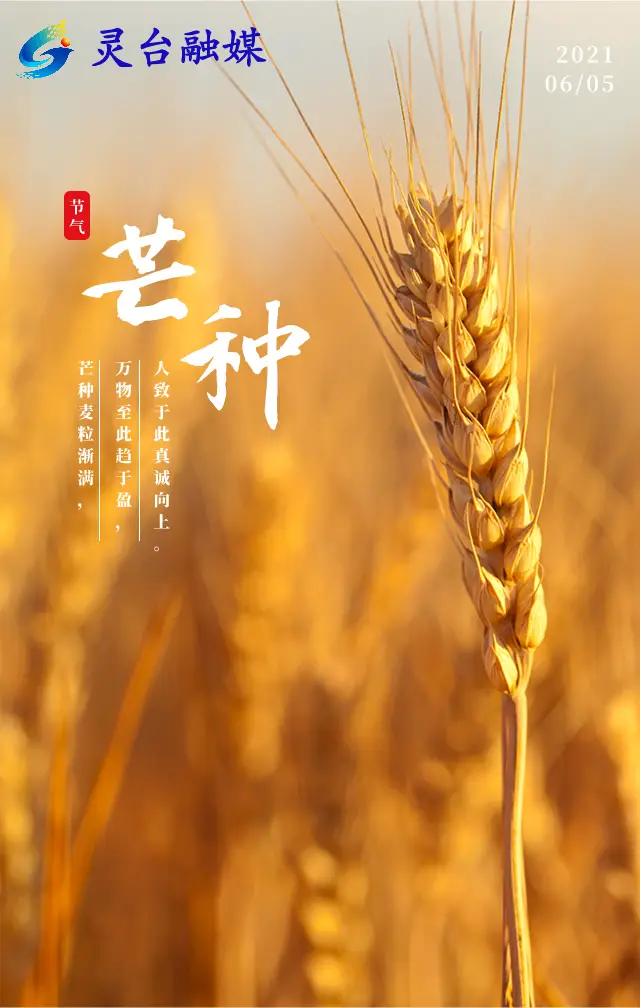 2023年芒种_2023年是什么年_芒种年年乐