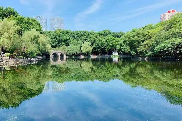 鲁迅体我大体是病了_鲁迅体的句子_鲁迅体