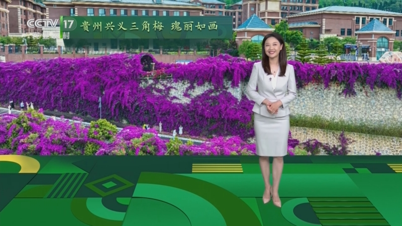 快手电话客服人工服务电话_客服人工快手电话服务在哪_快手客服电话人工服务