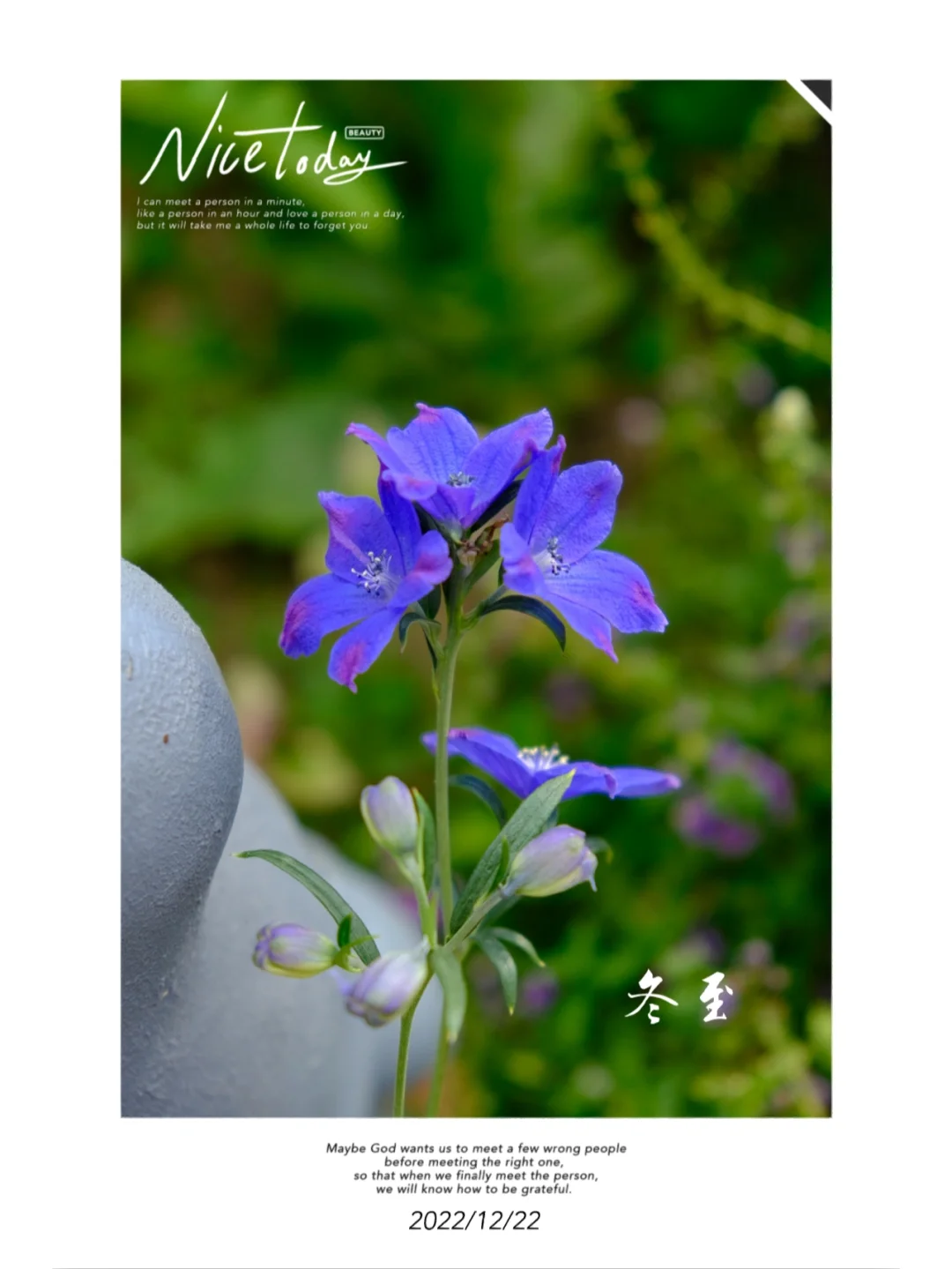 冬至大如年_冬至大如年是什么意思_冬至如大年人间小团圆