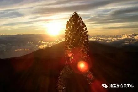 天蝎座守护星是谁_天蝎座守护星座_天蝎座守护星