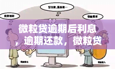 额度贷能微粒提高额度吗_微粒贷可以申请提高额度吗_微粒贷能提高额度吗