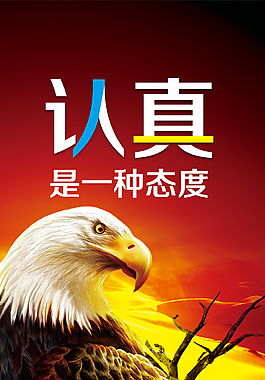 套装短裤女淘宝套装_套装电影_套装