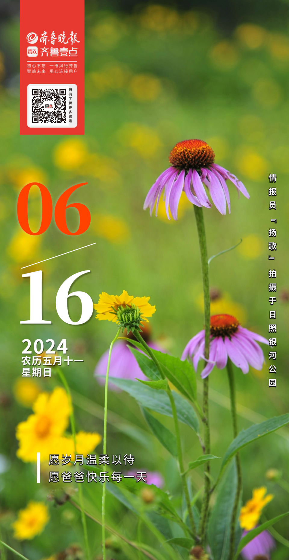 日历年度_日历年份_95年日历