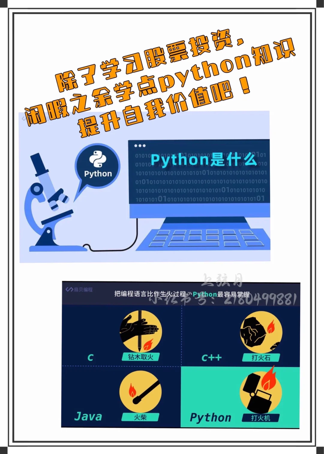 铜蛋手机游戏_鸡蛋手机游戏_蛋单机游戏
