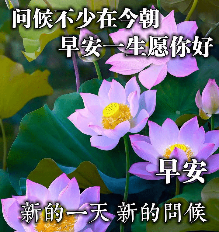 北方拓芙_北方拓芙壁纸_北方拓芙图片