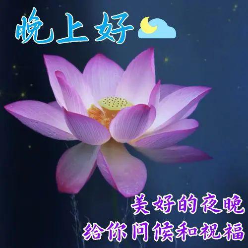 手机游戏无聊_手机游戏不休眠_无眠手机游戏
