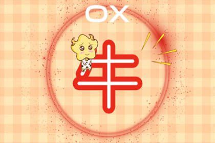 2006属狗的命运_狗2006年是什么命_2006年属狗的是什么命