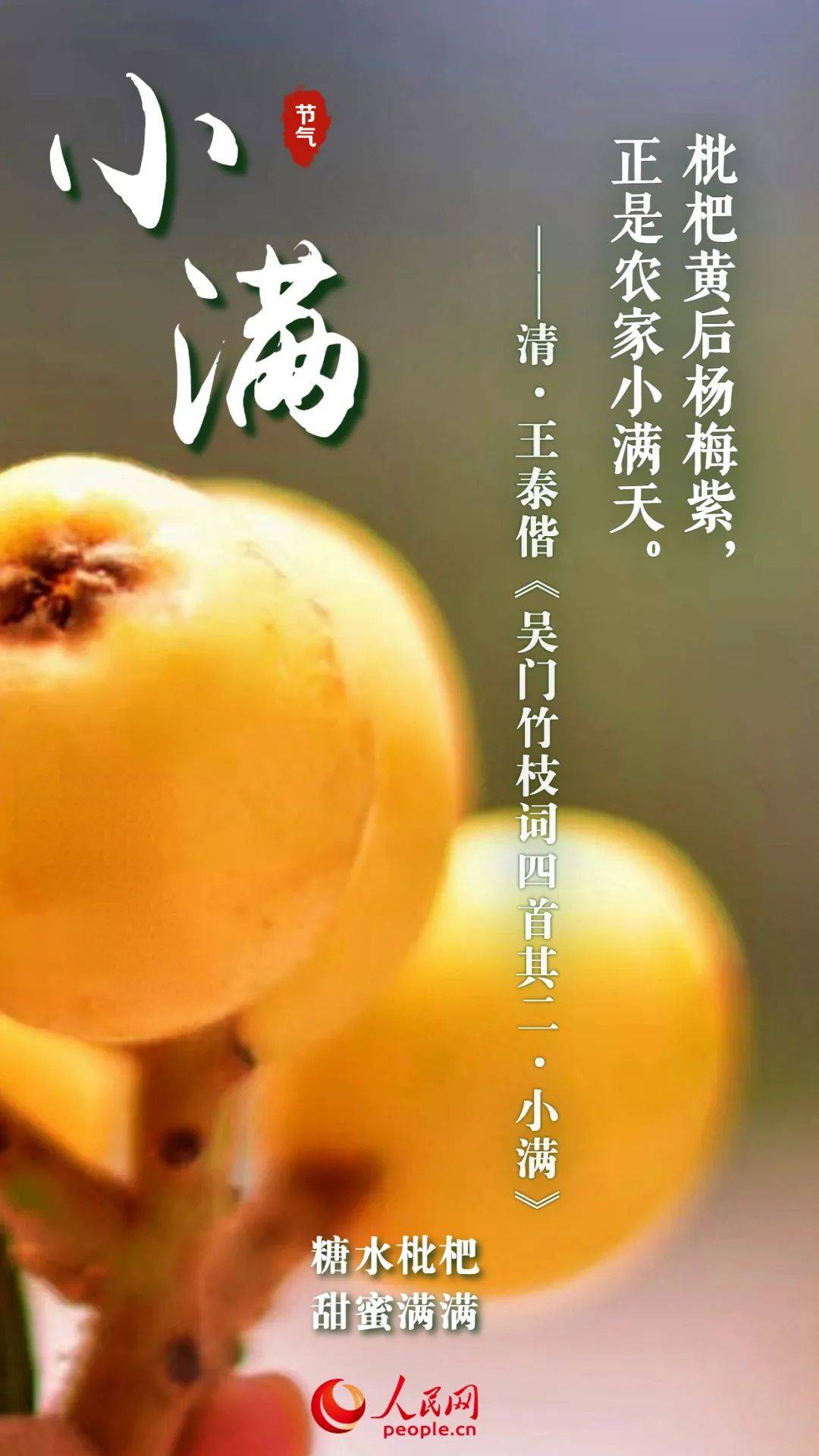 关于小满_小满养生_小满节气