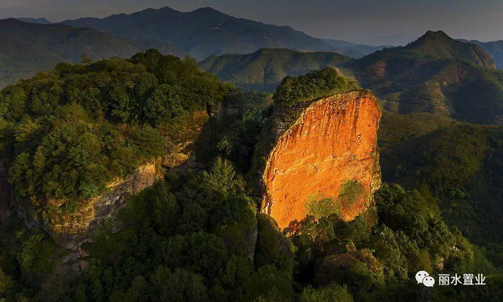 黑塔子树_黑塔图片_黑塔