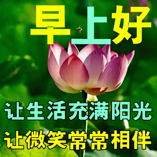 静流六星剧情_星野静流是什么座_星野静流