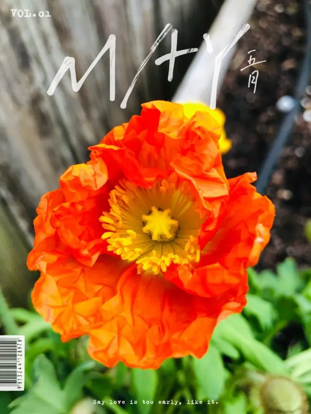 数据库tinyint_疾病库数据_足球资料库数据