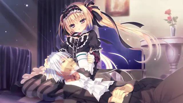 手机galgame大全_无码galgame手机游戏_手机galgame游戏网站