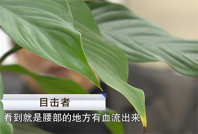 扶她游戏_扶她游戏_扶她游戏