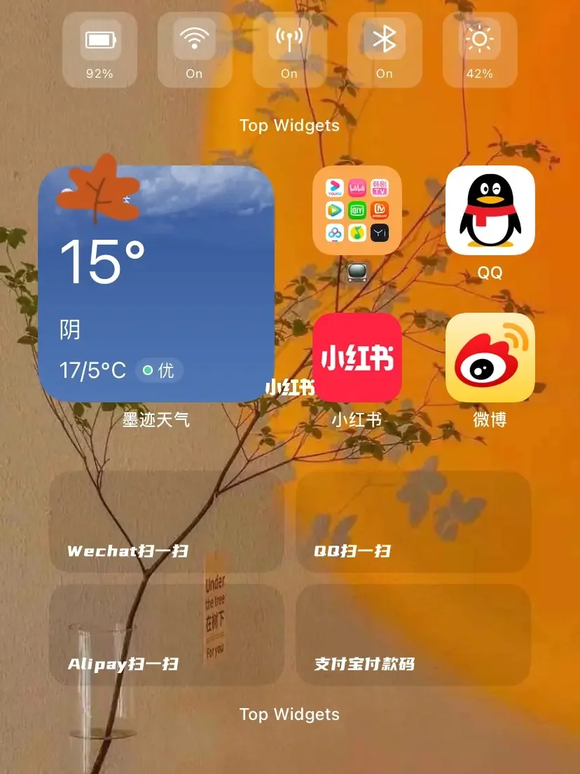 topwidgets万能小组件_万能组件小组件_万能组件小组件有危险吗