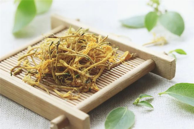 一款养鱼的手机游戏叫啥_养鱼的小游戏_养鱼游戏app