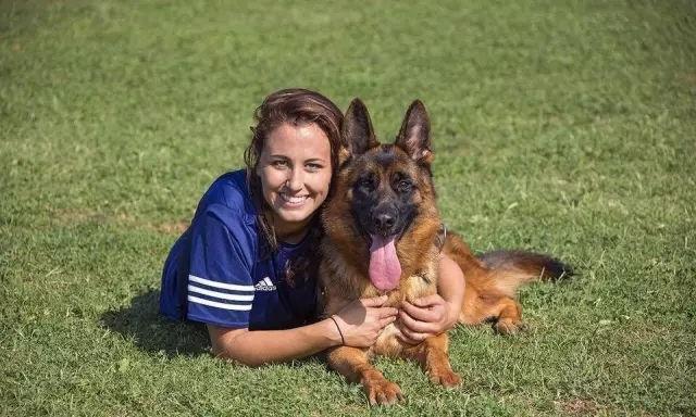 鸡流勇退犬力以赴_力犬无比是什么生肖_犬之力