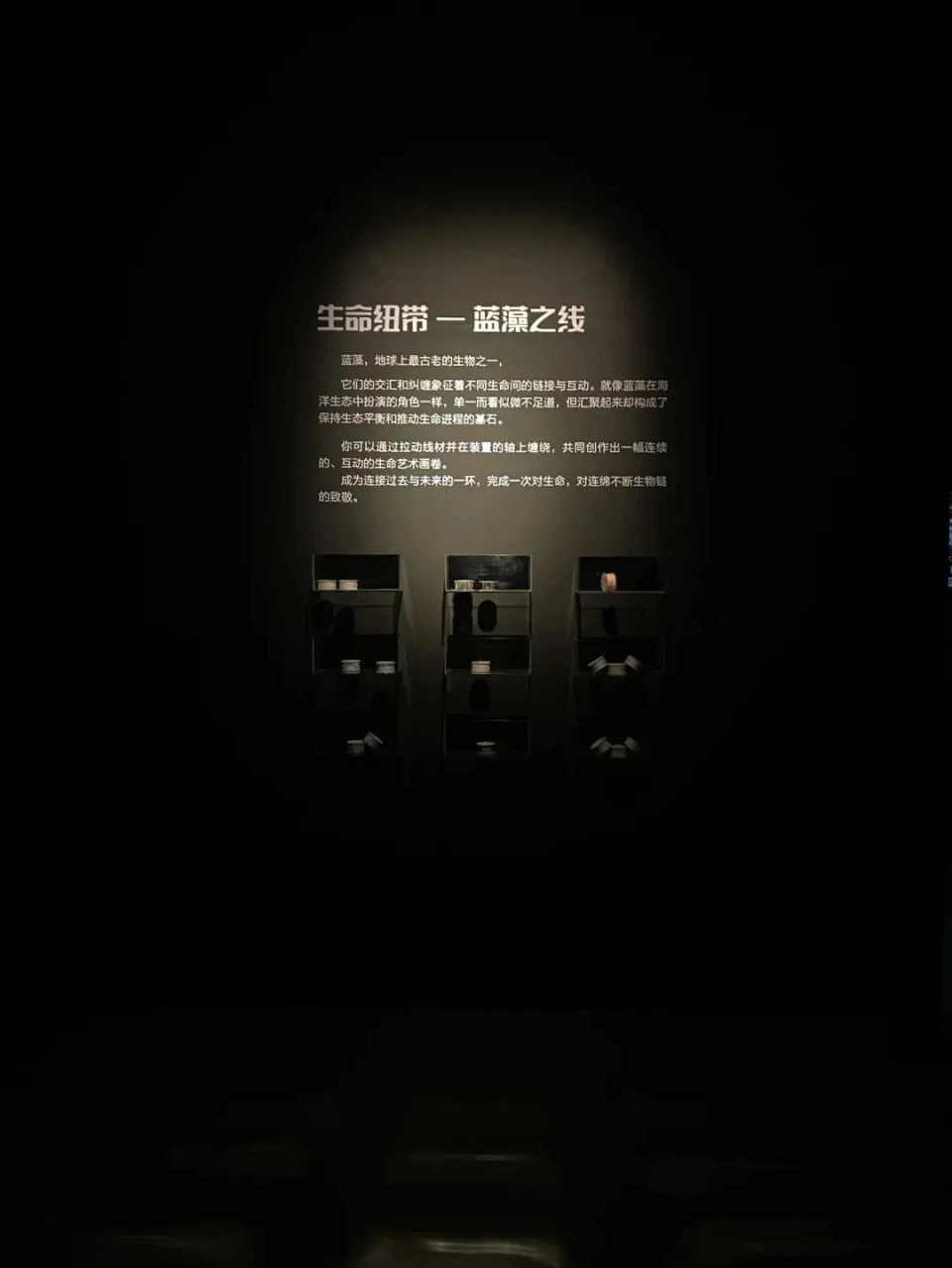 圣石小子游戏_圣石小子游戏_小子石圣游戏怎么玩