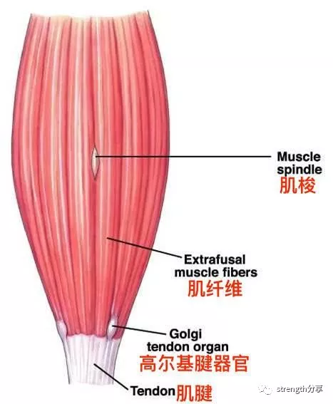 部署nfs_weblogic部署_nuxt部署