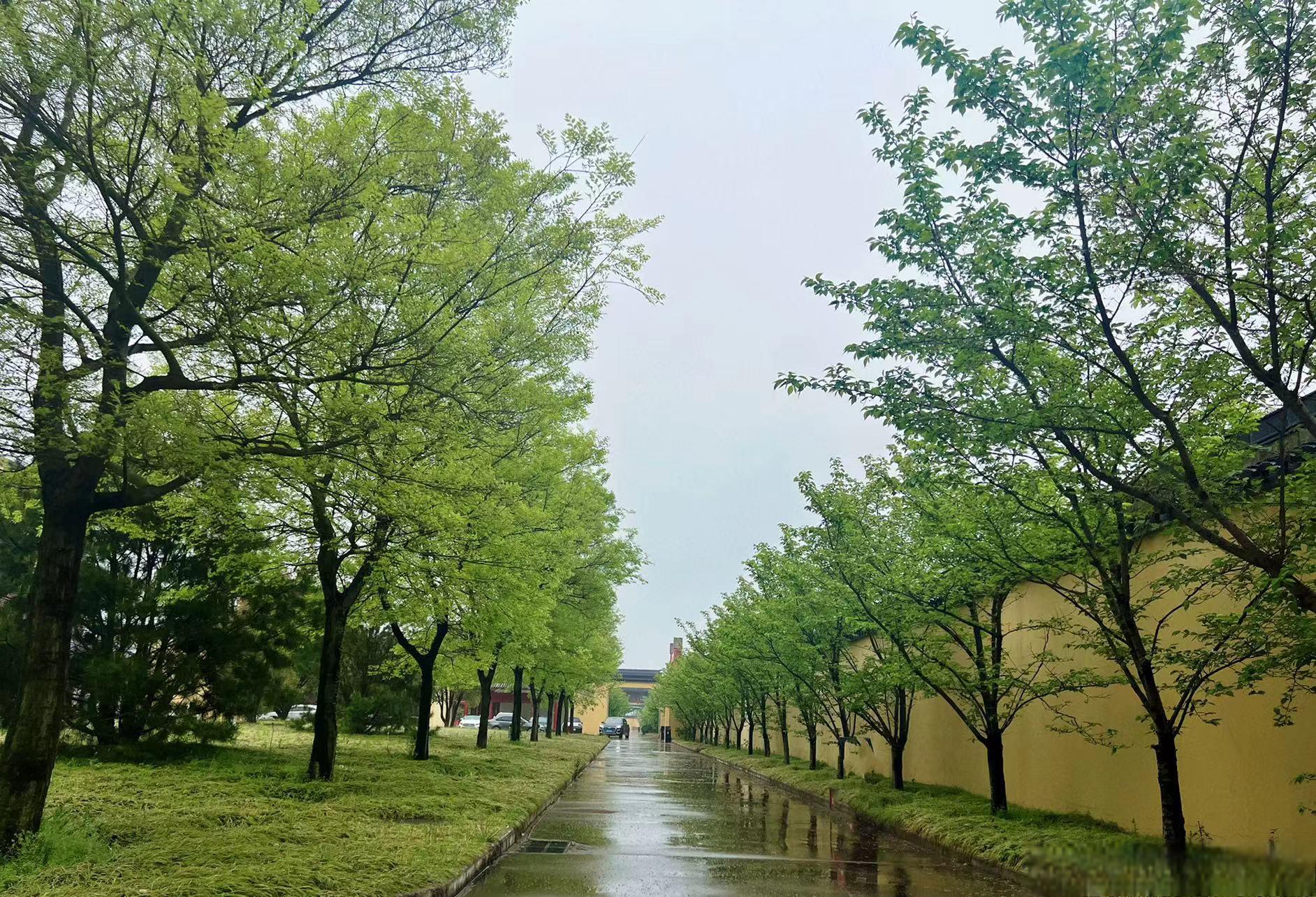 水墨风格手机游戏_好玩的水墨风格游戏_水墨风格的手机游戏