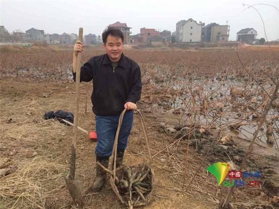 刘伟米哈游百度百科_刘伟米哈游总裁_米哈游刘伟