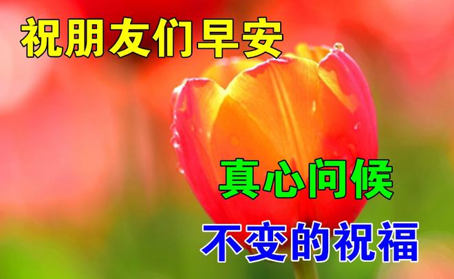 公主图片的画_某天成为公主图片_公主图片装扮
