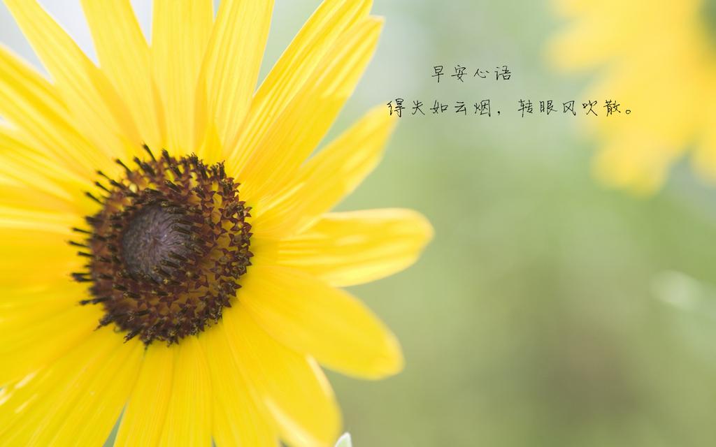 搜狗壁纸_搜狗壁纸下载手机版_壁纸高清全屏搜狗