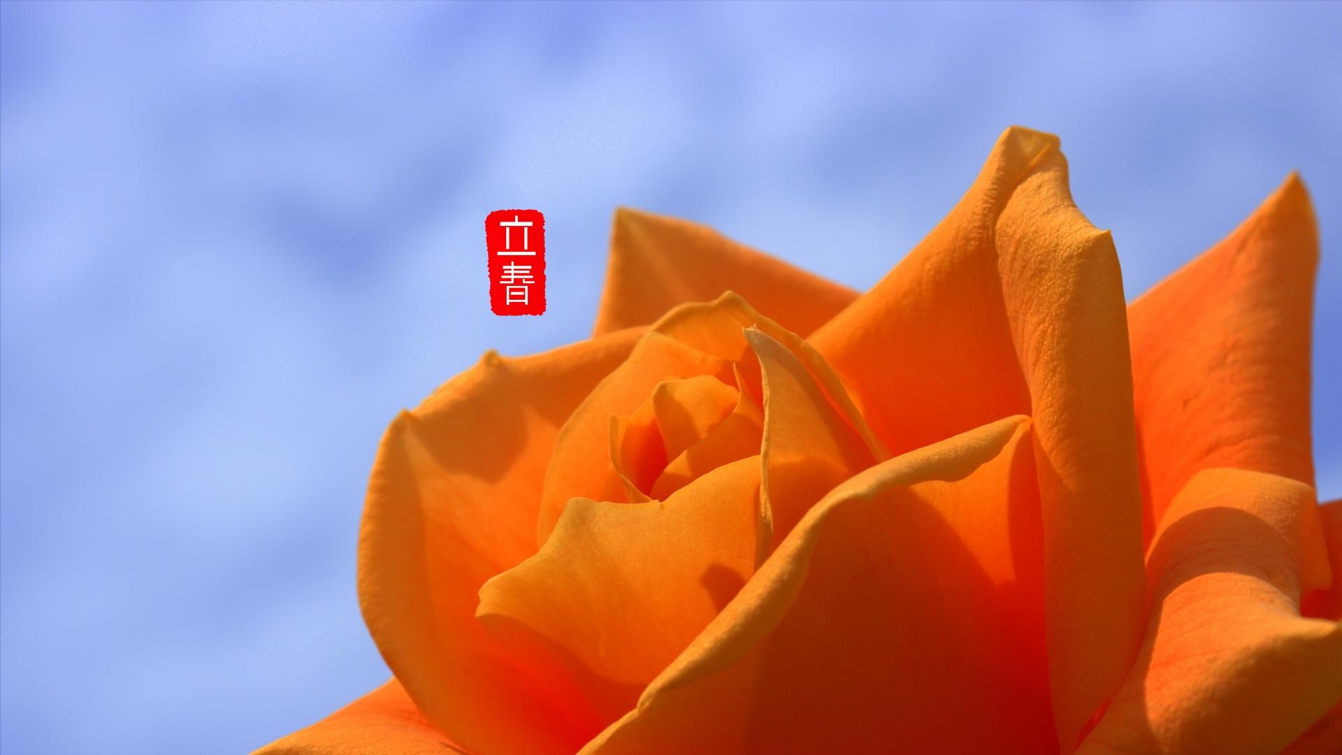搜狗壁纸下载手机版_壁纸高清全屏搜狗_搜狗壁纸